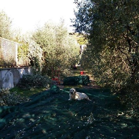B&B La Grola Сан Мартино Буон Алберго Екстериор снимка