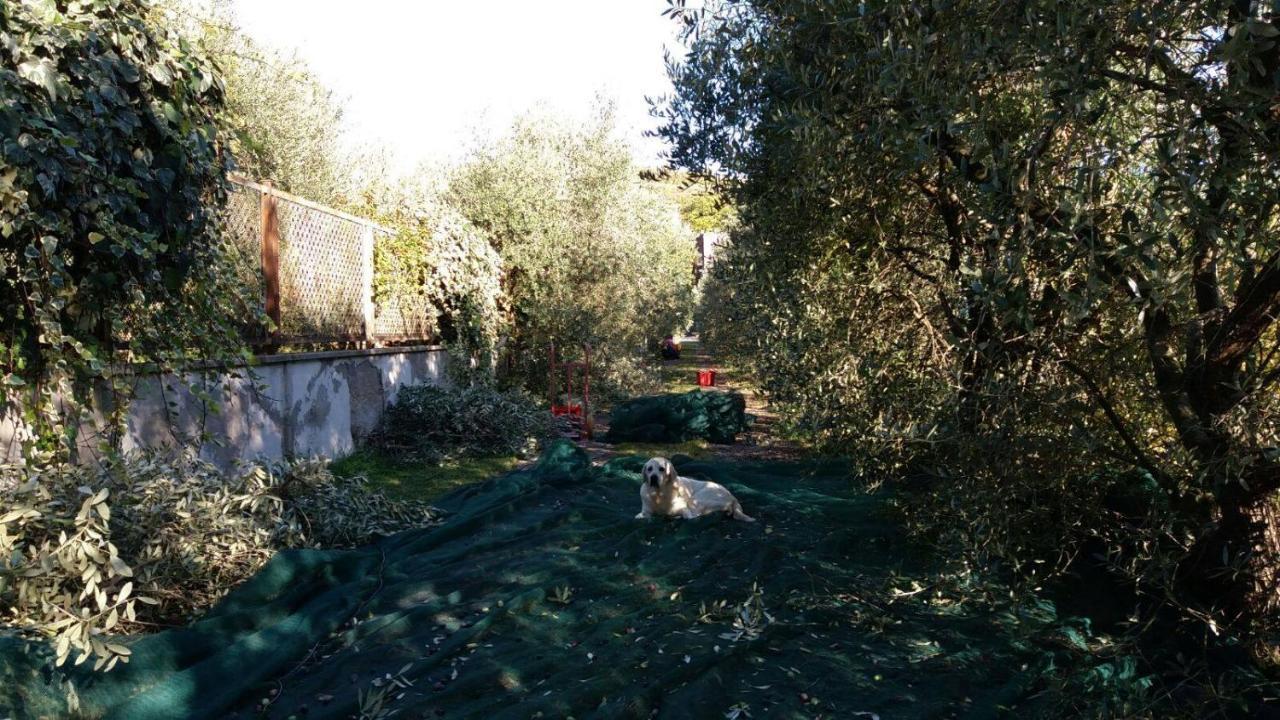B&B La Grola Сан Мартино Буон Алберго Екстериор снимка